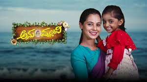 Anupallavi serial